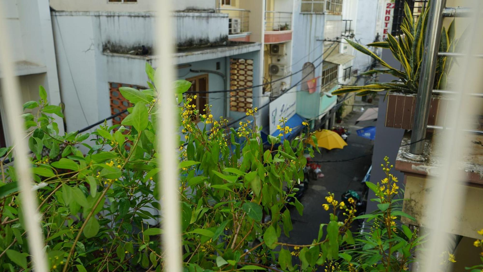 Maiam Homestay Ho Si Minh-város Kültér fotó